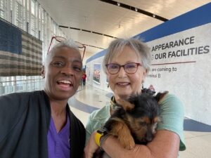 Transportation-pic-10