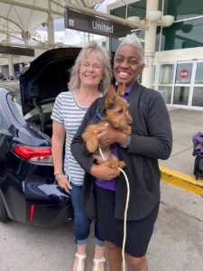 Transportation-pic-13