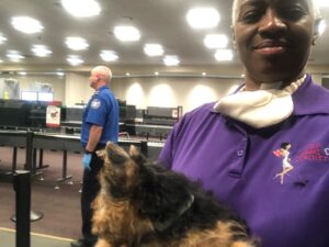 Transportation-pic-14