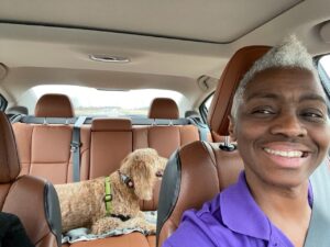 Transportation-pic-15