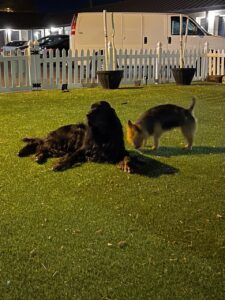 Transportation-pic-17