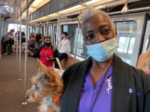 Transportation-pic-18