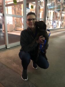 Transportation-pic-2