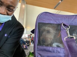 Transportation-pic-20