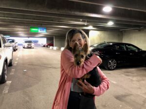 Transportation-pic-8