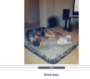 transportation-pic-1